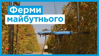 Роботів навчили збирати фрукти за допомогою штучного інтелекту