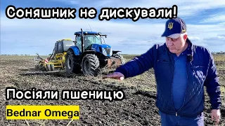 Оранка відміняється❌ Посів пшениці по палці соняшнику. Чому Bednar Omega.