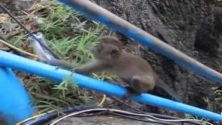 Нарезка самых смешных видео! РЖАЛ ДО СЛЕЗ