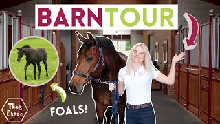 Ultimate Barn Tour - Mount St John Equestrian + Lots of Foals | This Esme