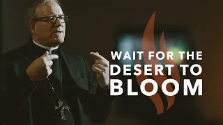 Wait for the Desert to Bloom - Bishop Barron's Sunday Sermon