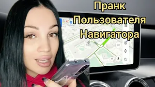Алиса Пранк Пользователя Яндекс Навигатора