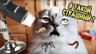 КОТЫ ПОД МИКРОСКОПОМ против МЕРЗКИХ НАСЕКОМЫХ! КЕВИН В ШОКЕ