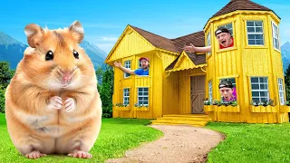 I Built A $100,000 Golden Hamster House