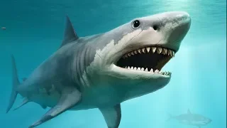 BEWEIS: Der MEGALODON ist noch am Leben ???