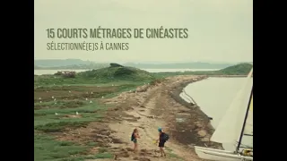 LE FESTIVAL DE CANNES SUR BREFCINEMA