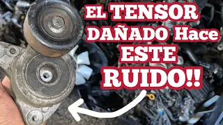 TENSOR DAÑADO!! TENSOR RUIDOSO!!