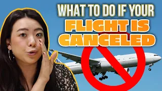 What to do if Your Flight is Cancelled or Delayed | Flight Compensation Life Hacks | Your Rich BFF