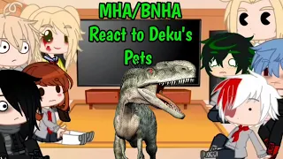 MHA/BNHA Character React to Deku's Pets/This is Midoriya's animal/MHA/BNHA/Gacha Club - 200