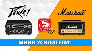 Обзор двух малышей Peavey 6505 Piranha и Marshall DSL1 Head