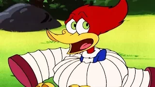 Woody Woodpecker Show | Woodsy Woody | Full Episode | Videos For Kids