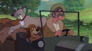 The Fox and the Hound   Copper comes back home HD