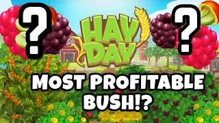 HAY DAY - MOST PROFITABLE BUSH IN HAY DAY 2021!? (Raspberry, Blackberry, Coffee Beans...)