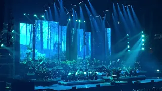 Il Gladiatore (medley) - Hans Zimmer live 2019 Forum Assago