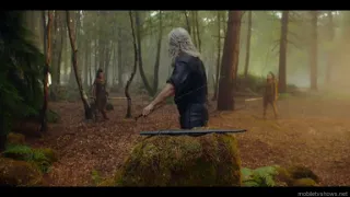 the Witcher season 3 geralt of livia training