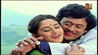 Dachukoku Valapu Video Songs Thallikodukula Anubandham Movie Songs | Krishnam raju | Trendz Telugu