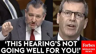 'Why Did You Give A False Answer To Sen. Cornyn?': Ted Cruz Unloads On Biden Judicial Nominee