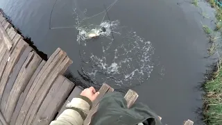 FISHING SPIDER!!! The canvases are tearing , the poles are breaking!!! WATCH UNTIL THE END!!!