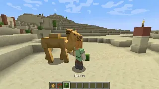 Minecraft Camel ?