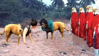 (New) Award Winning Movie of REGINA DANIEL (THE DOG)2024 Latest African Nigerian Nollywood Newest