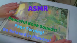 ASMR Books Sounds!  (No talking)