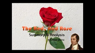 A Red Red Rose summary in nepali//Class 11// English summary// A Red Rose Summary class 11