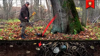 Spotted a mark on an old tree and found silver! RIDDLE TREASURE | Golden Hobby