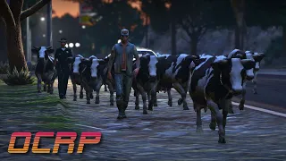 The Steaks Are High in GTA RP | OCRP