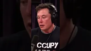 Elon Musk On What Keeps Him Up At Night! #elonmusk #shorts #joerogan