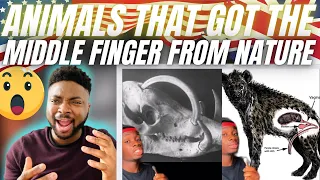 🇬🇧BRIT Reacts To ANIMALS THAT GOT THE MIDDLE FINGER FROM EVOLUTION!