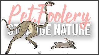 Strange and Wild Nature - Funny Pet Comics | Pet_Foolery Comic Dub