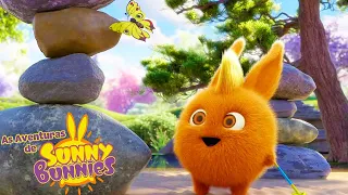 Linda borboleta | As Aventuras de Sunny Bunnies | Desenhos Animados Infantis