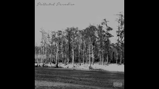 Chetta ft $uicideboy$- Polluted Paradise (instrumental prod.sixxdeath)