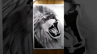 #lion artwork by only charcoal 😃👍