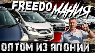 HONDA FREED 🚘 HONDA FREED SPIKE 🚘 Цены, состояние, комплектации.