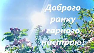 Доброго ранку. Гарних вихідних. Гарного настрою. Вже сонце в небі