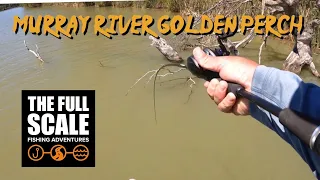 Murray River Golden Perch Mission | Spinnerbaits & Jigging | The Full Scale