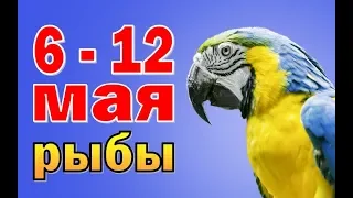 РЫБЫ  неделя с 6 по 12 мая. Таро прогноз гороскоп