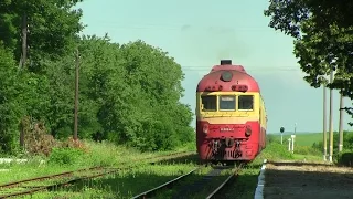 Дизель-поезд Д1-694 на ст. Гиздита / D1-694 passing Gizdita station