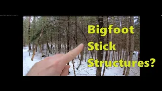 My Bigfoot Story Ep. 48 - Stick Structures and Other Signs