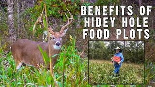 Hidey Hole Food Plot Seminar by Dr. Grant Woods