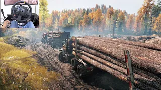 Logging in the woods - SnowRunner | Thrustmaster TX gameplay