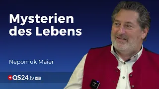 Einblicke in die erweiterte Realität | Der Sinn des Lebens | @QS24