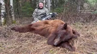 Toby's Bear Hunt | Baldy Mountain Outfitters