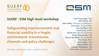 SUERF-ESM - Safeguarding macro and financial stability in a fragile environment - 20231116