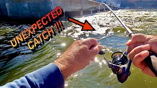 Fishing a DEADLY fishing BAIT in DANGEROUS water catching FISH for DINNER !!!