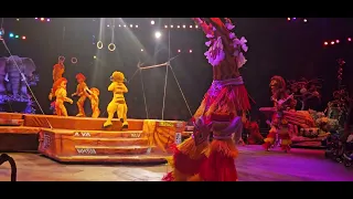 Festival of the Lion King @Disney's Animal Kingdom 4/15/2024