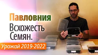 Всхожесть семян Павловнии  Урожай 2019 - 2022 года