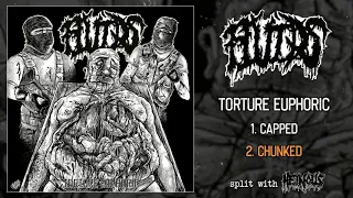 Fluids - Torture Euphoric FULL EP (2020 - split w/ Heinous - Brutal Death Metal)