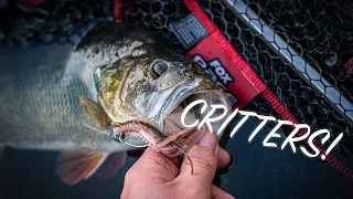 LURE FISHING WITH CREATURE BAITS: How to fish with creature baits using the Fox Rage Critter